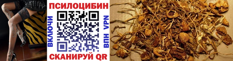 Псилоцибиновые грибы MAGIC MUSHROOMS omg tor Пятигорск