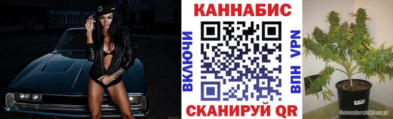 Бошки Шишки конопля закладка Пятигорск